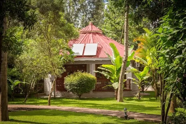 Traditional Dağ Evi