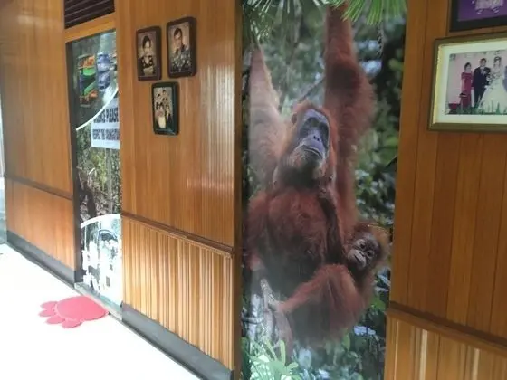 Classic Tek Büyük Yataklı Oda, 1 Büyük (Queen) Boy Yatak, Nehir Manzaralı