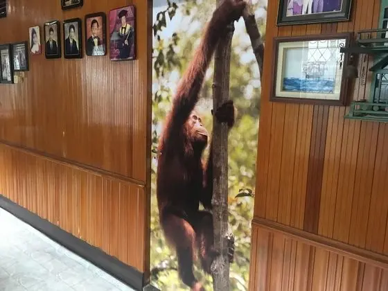 Classic Tek Büyük Yataklı Oda, 1 Büyük (Queen) Boy Yatak, Nehir Manzaralı