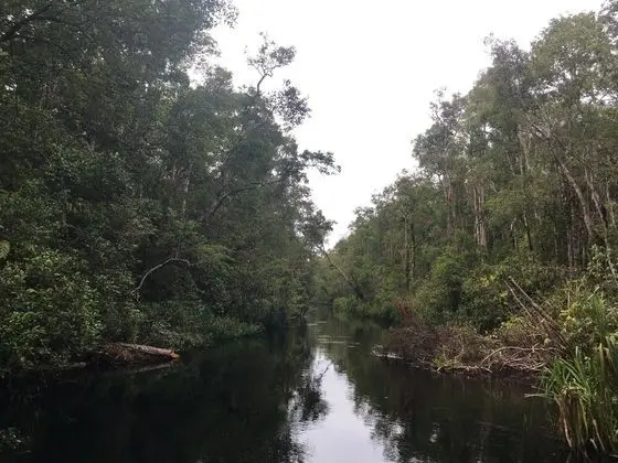 Classic Tek Büyük Yataklı Oda, 1 Büyük (Queen) Boy Yatak, Nehir Manzaralı