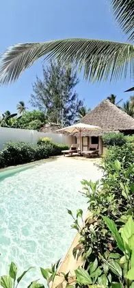 Deluxe Süit (savane)