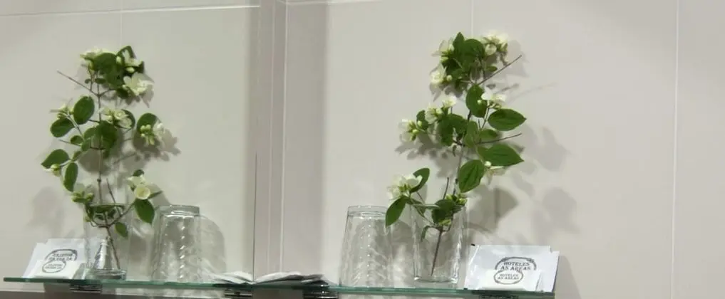 Standard Tek Büyük Yataklı Oda, Plaj Kenarı