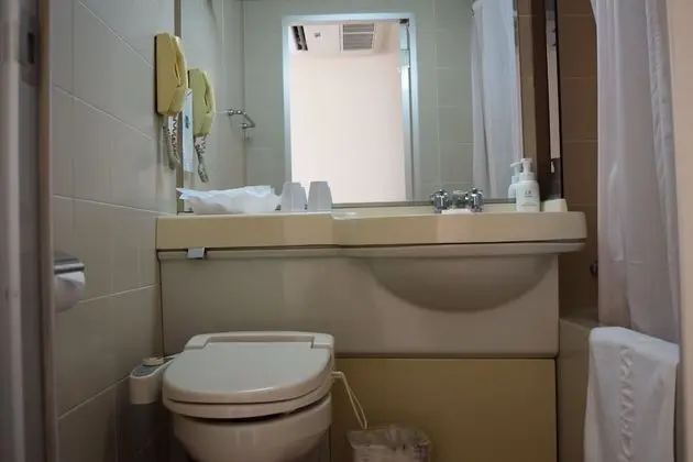 Tek Büyük Yataklı Oda, Sigara İçilmez (Type C : Main Building)