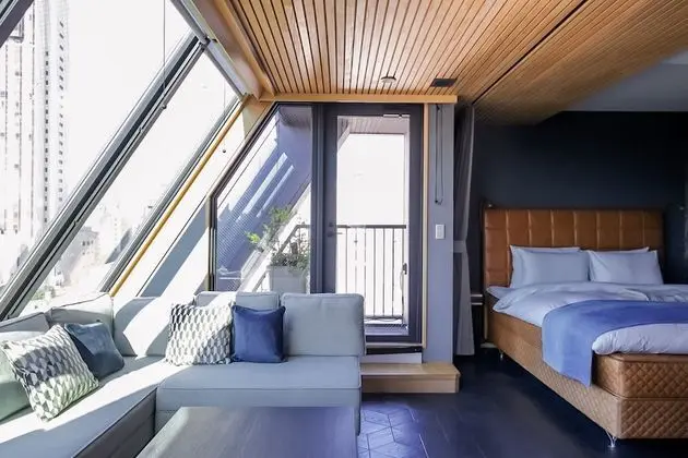 Çatı Katı Süiti (Penthouse), 1 En Büyük (King) Boy Yatak, Sigara İçilmez (Suite)
