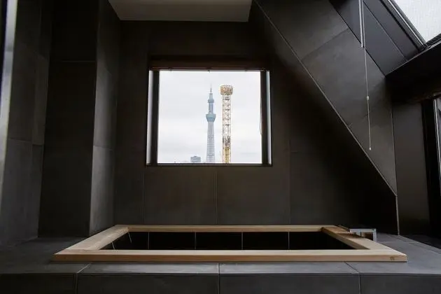 Çatı Katı Süiti (Penthouse), 1 En Büyük (King) Boy Yatak, Sigara İçilmez (Suite)