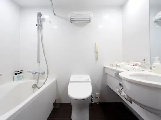 Deluxe İki Ayrı Yataklı Oda, Sigara İçilebilir (Skytree View)