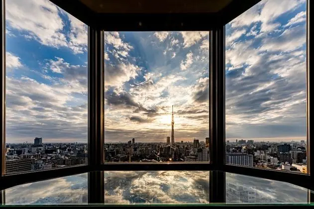 Executive İki Ayrı Yataklı Oda, Birden Çok Yatak, Sigara İçilmez (Skytree View)