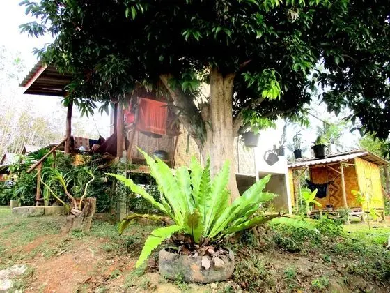 Modern Bungalow with Fan (Private Bathroom)