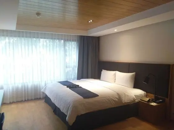 Büyük Yataklı Tek Kişilik Oda, 1 En Büyük (King) Boy Yatak