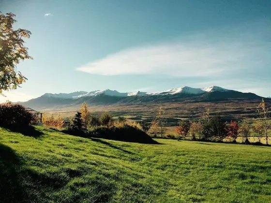 Standard Tek Büyük veya İki Ayrı Yataklı Oda, Ortak Banyo