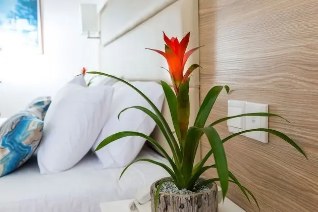 https://i.travelapi.com/lodging/3000000/2140000/2137800/2137778/0beb5167_z.jpg