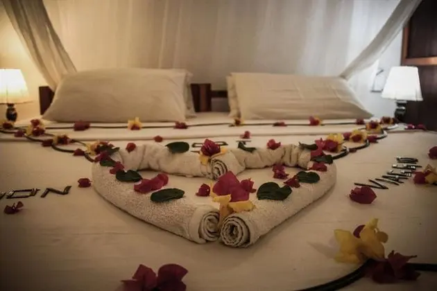 Ev, 1 Yatak Odası, Sigara İçilebilir, Balkon