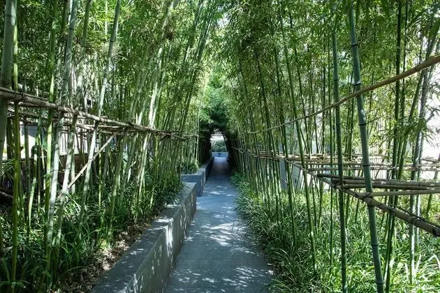 Executive Apart Daire, 3 Yatak Odası, Şehir Manzaralı, Executive Katı