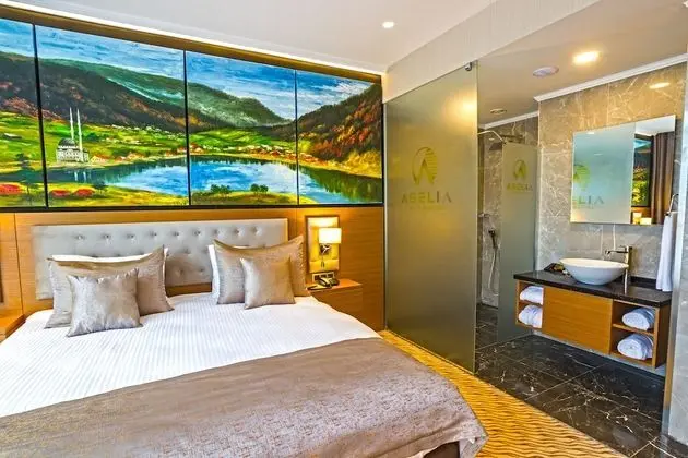 Deluxe Oda, Şehir Manzaralı