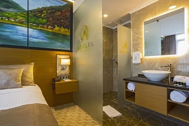 Deluxe Oda, Şehir Manzaralı