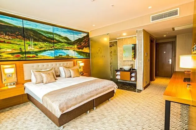 Deluxe Oda, Şehir Manzaralı