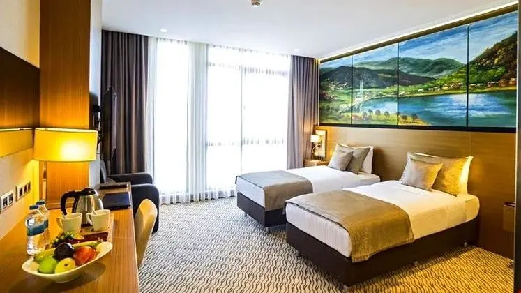 Deluxe Özel Şehir manzarası Oda