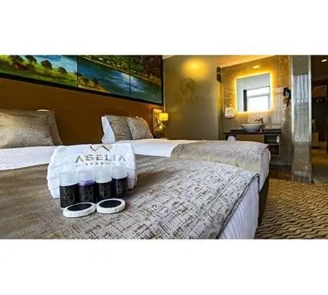 Deluxe Özel Şehir manzarası Oda