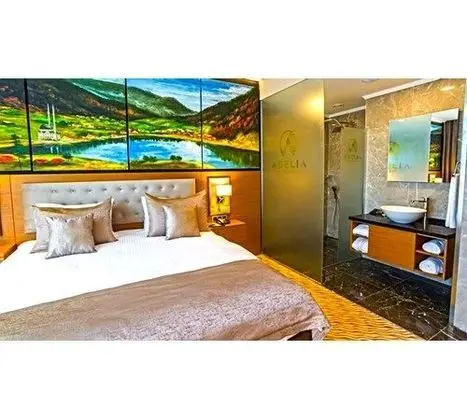 Deluxe Özel Şehir manzarası Oda