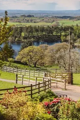 Kır Evi, 1 En Büyük (King) Boy Yatak