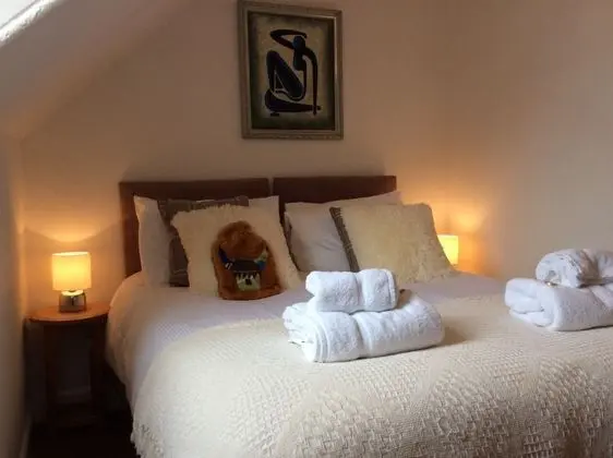 Tek Büyük Yataklı Oda, Banyolu/Duşlu