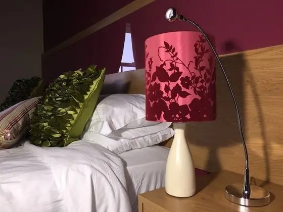 Luxury Tek Büyük Yataklı Oda, 1 En Büyük (King) Boy Yatak, Banyolu/Duşlu (Carnteel Room)