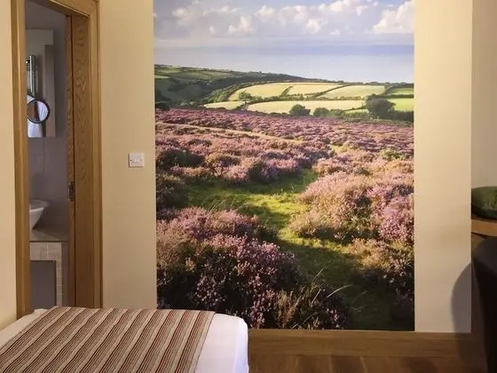 Luxury Tek Büyük Yataklı Oda, 1 En Büyük (King) Boy Yatak, Banyolu/Duşlu (Carnteel Room)