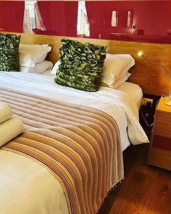 Luxury Tek Büyük Yataklı Oda, 1 En Büyük (King) Boy Yatak, Banyolu/Duşlu (Carnteel Room)