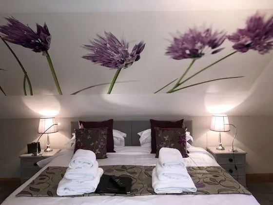 Luxury Tek Büyük Yataklı Oda, Banyolu/Duşlu, Bahçe Manzaralı (Maggies Room)