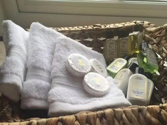 Luxury Tek Büyük Yataklı Oda, Banyolu/Duşlu, Bahçe Manzaralı (Maggies Room)