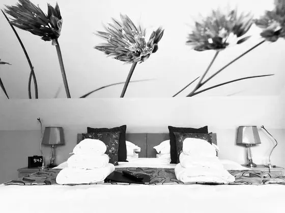 Luxury Tek Büyük Yataklı Oda, Banyolu/Duşlu, Bahçe Manzaralı (Maggies Room)