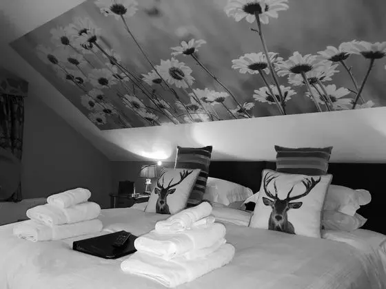 Luxury Üç Kişilik Oda, Banyolu/Duşlu, Bahçe Manzaralı (Lizzies Room)