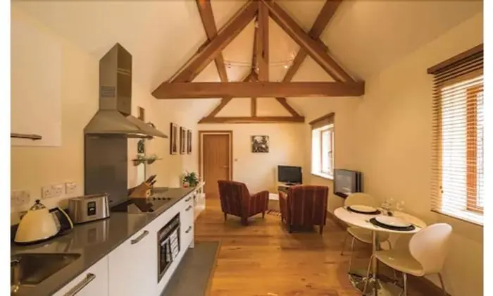 Luxury Apart Daire, 1 Çift Kişilik Yatak, Zemin Kat (#1)