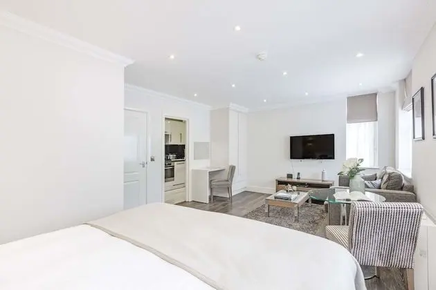 Superior Studio Apartment