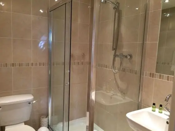 Tek Büyük Yataklı Oda, Banyolu/Duşlu (Kingsize(The Green Room) )