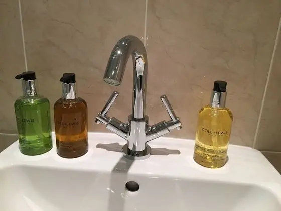 Tek Büyük Yataklı Oda, Banyolu/Duşlu (Kingsize(The Green Room) )