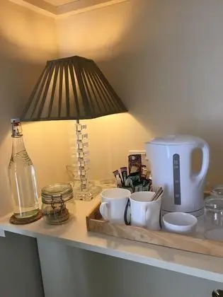 Tek Büyük Yataklı Oda, Banyolu/Duşlu (Kingsize(The Green Room) )