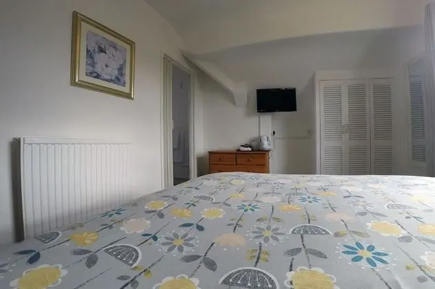 Tek Büyük Yataklı Oda, 1 En Büyük (King) Boy Yatak, Bahçe Manzaralı