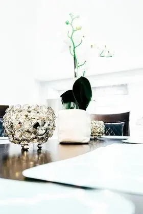 Comfort Kır Evi