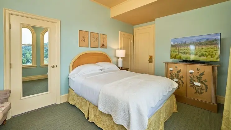 Deluxe Oda, 1 Büyük (Queen) Boy Yatak, Şehir Manzaralı