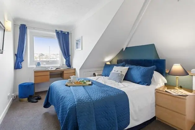 Tek Büyük Yataklı Oda, Banyolu/Duşlu (Double Room 9)