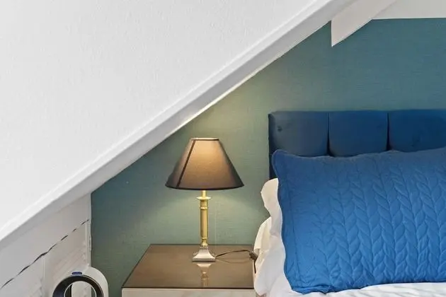 Tek Büyük Yataklı Oda, Banyolu/Duşlu (Double Room 9)