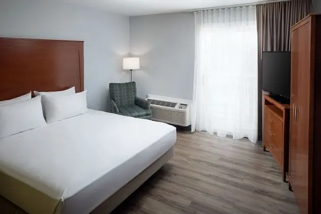 Standard Oda, 1 En Büyük (King) Boy Yatak, Engellilere Uygun, Balkon