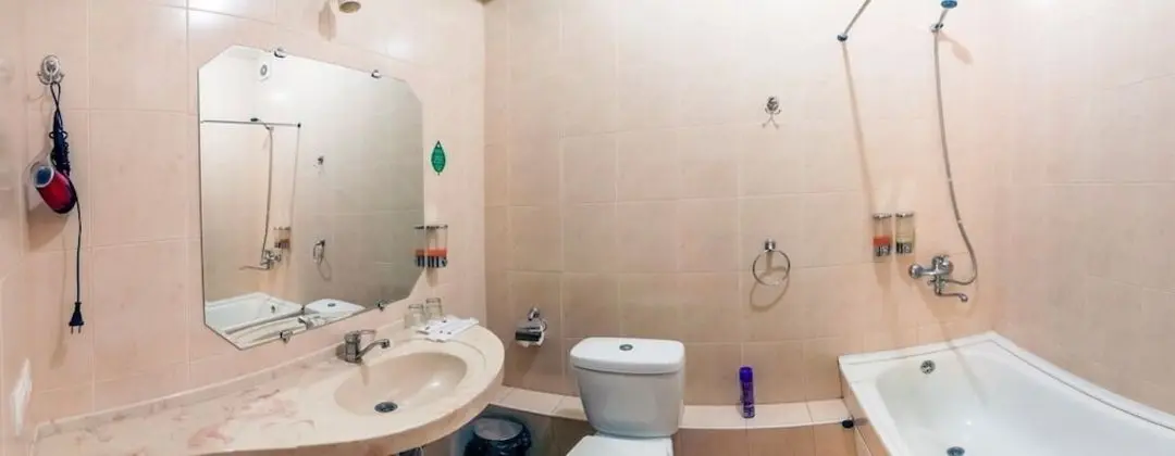 Standard Tek Büyük veya İki Ayrı Yataklı Oda, 1 Çift Kişilik Yatak, Şehir Manzaralı