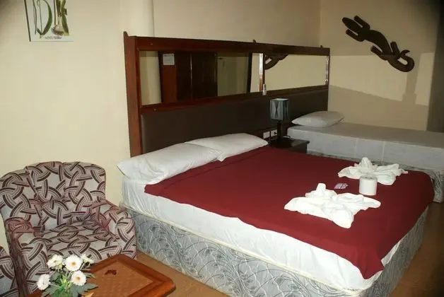 Dolphin watch rooms