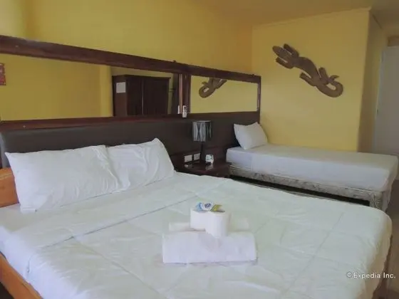 Dolphin watch rooms