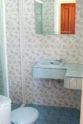 Dolphin watch rooms