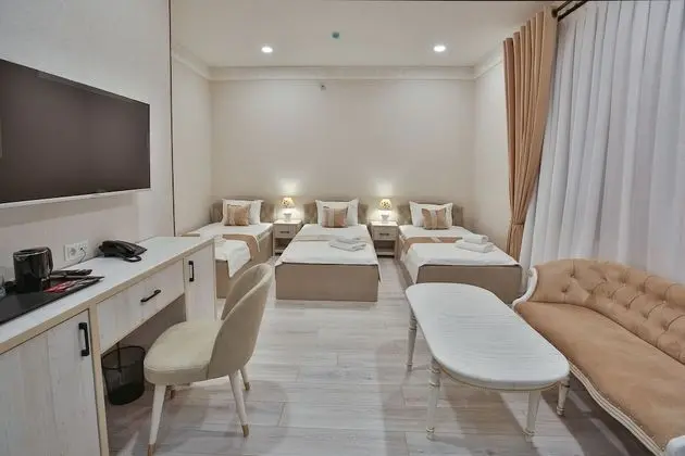 Standard Üç Kişilik Oda, 3 Tek Kişilik Yatak, Sigara İçilmez, Şehir Manzaralı