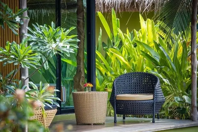 Deluxe Oda