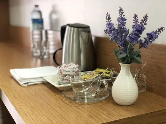 Deluxe Tek Büyük veya İki Ayrı Yataklı Oda
